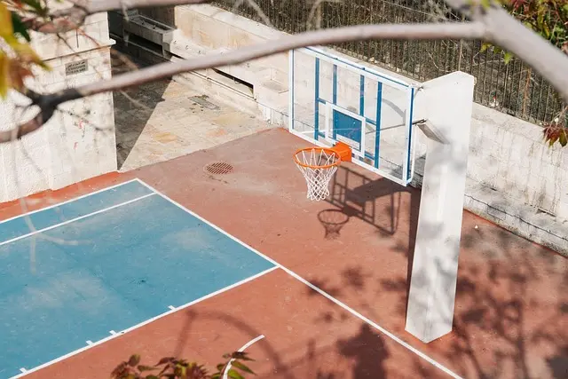 Mejores escoltas de baloncesto: guía completa