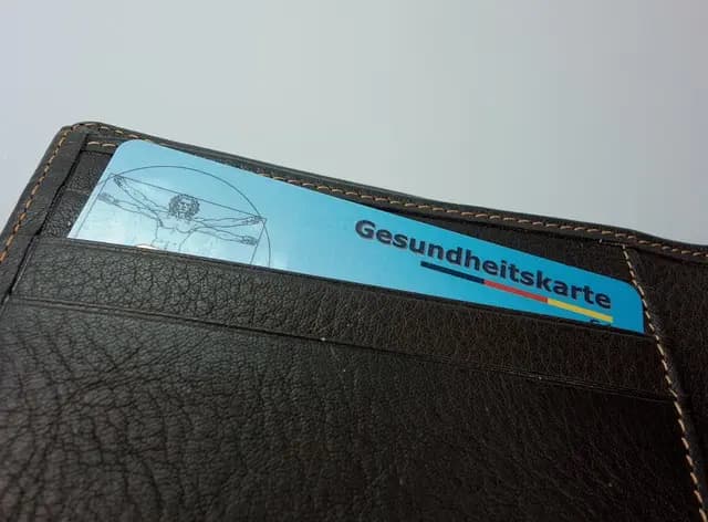 Pet Insurance Explained: A Comprehensive Guide