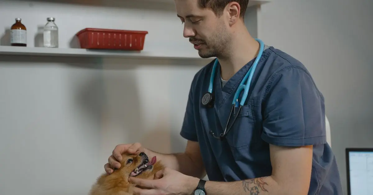 How to Recognize Pet Emergencies