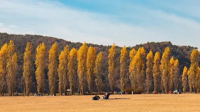 Naturalne produkty do makijażu oczu - Twój przewodnik zakupowy