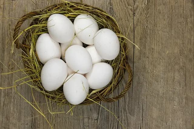 Ricette per Feste: Guida Completa e Prodotti Top