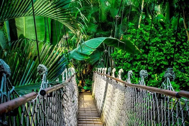 Guide d'achat Livraison Courses Familles Nombreuses