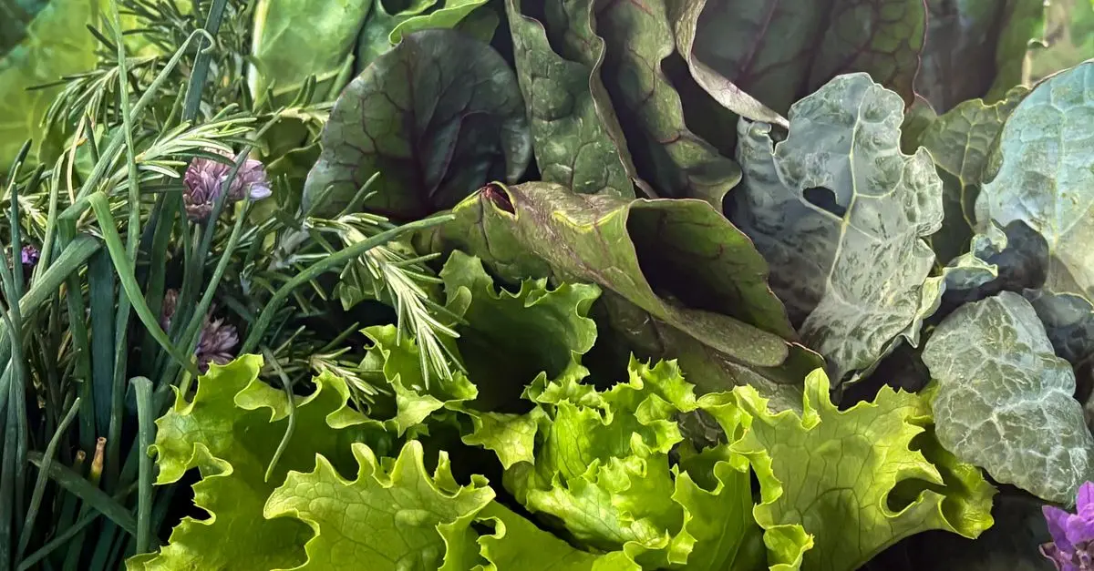 Guide d'Achat des Légumes à Feuilles