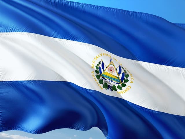 Guía Completa para el Bienestar en el Hogar