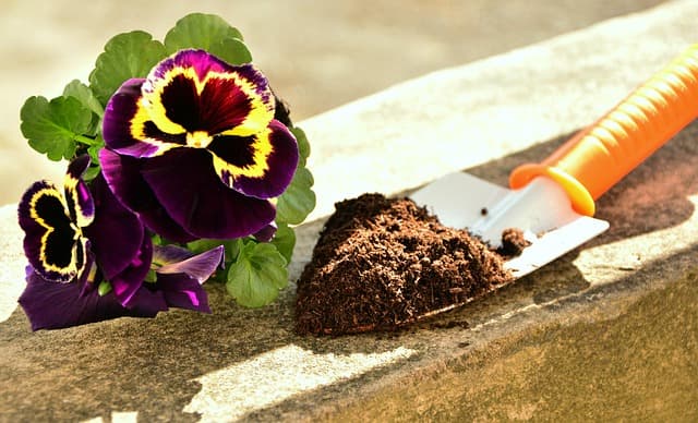 Le meilleur terreau pour plantes d'extérieur