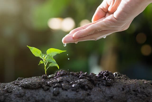 Effective Growth Strategies for Small Businesses